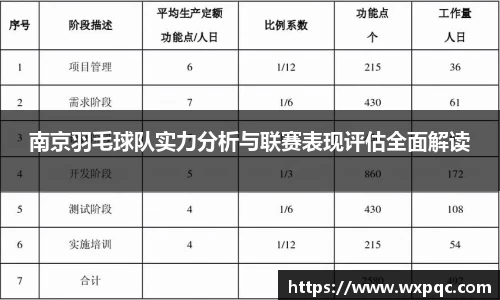 南京羽毛球队实力分析与联赛表现评估全面解读